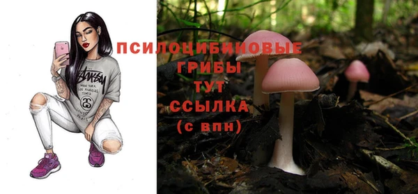 Альфа ПВП Аркадак