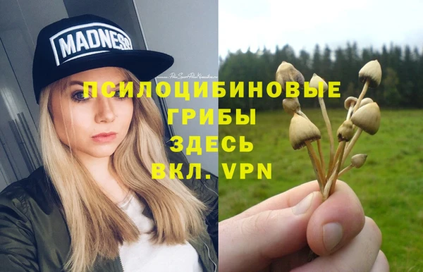 ECSTASY Армянск