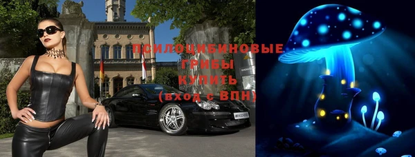 Альфа ПВП Аркадак